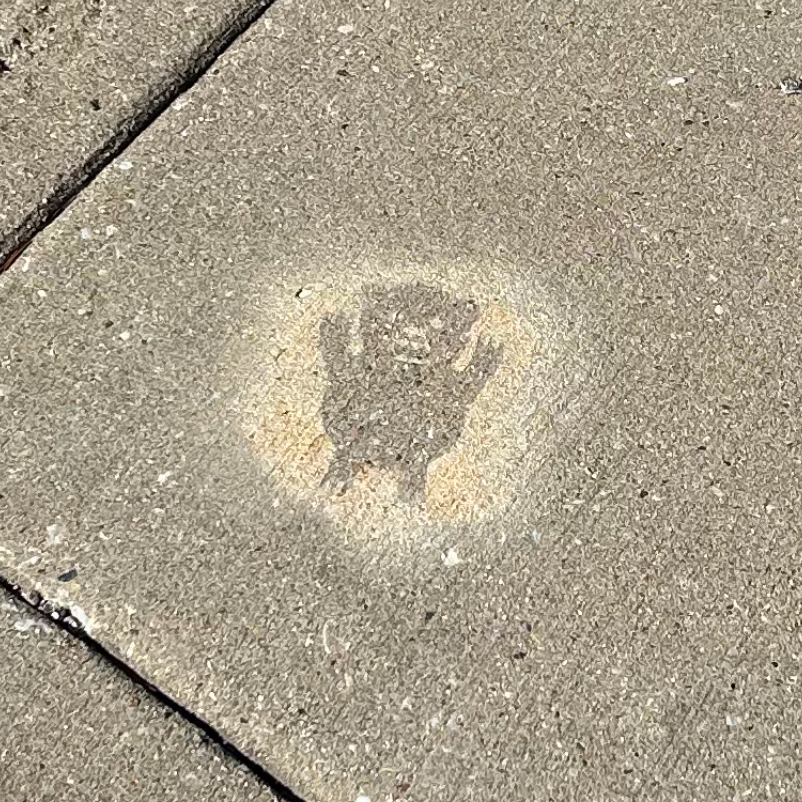 Example faded yellow bear