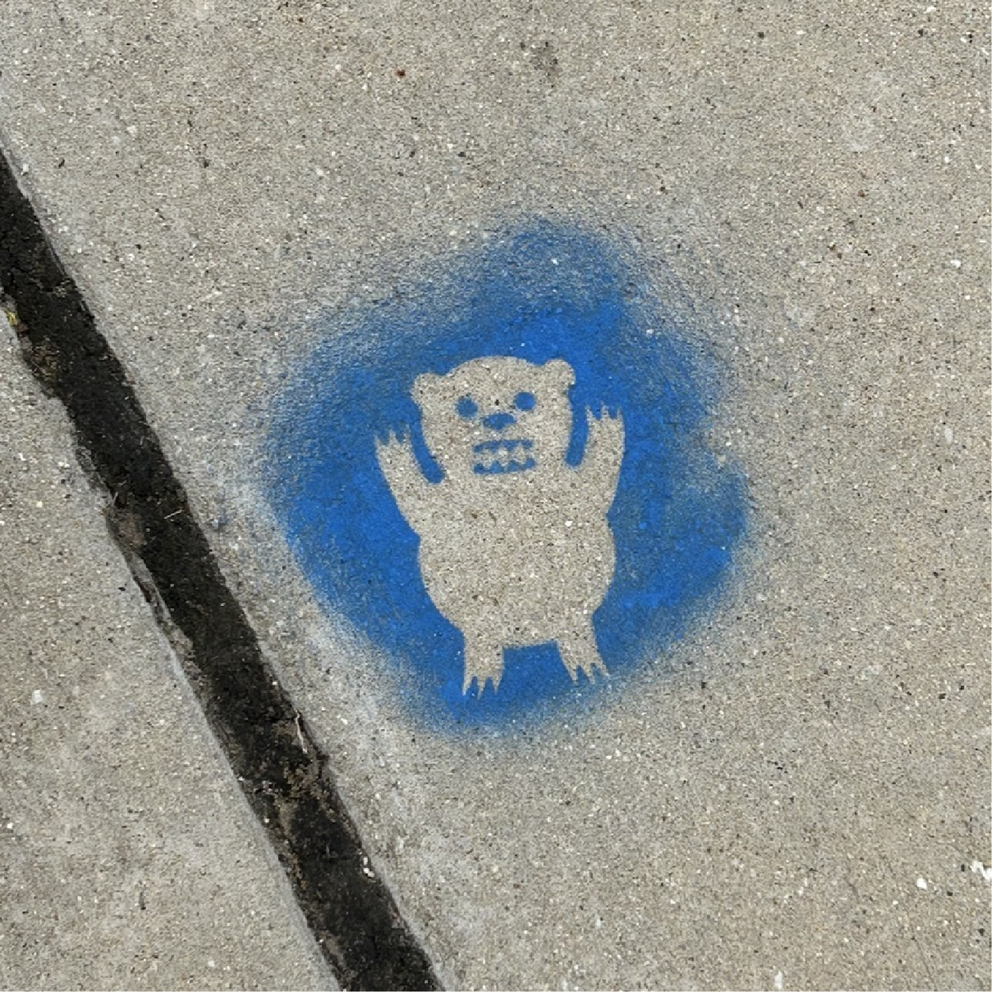 Example blue bear