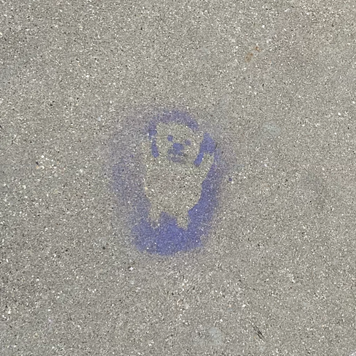 Example faded purple bear