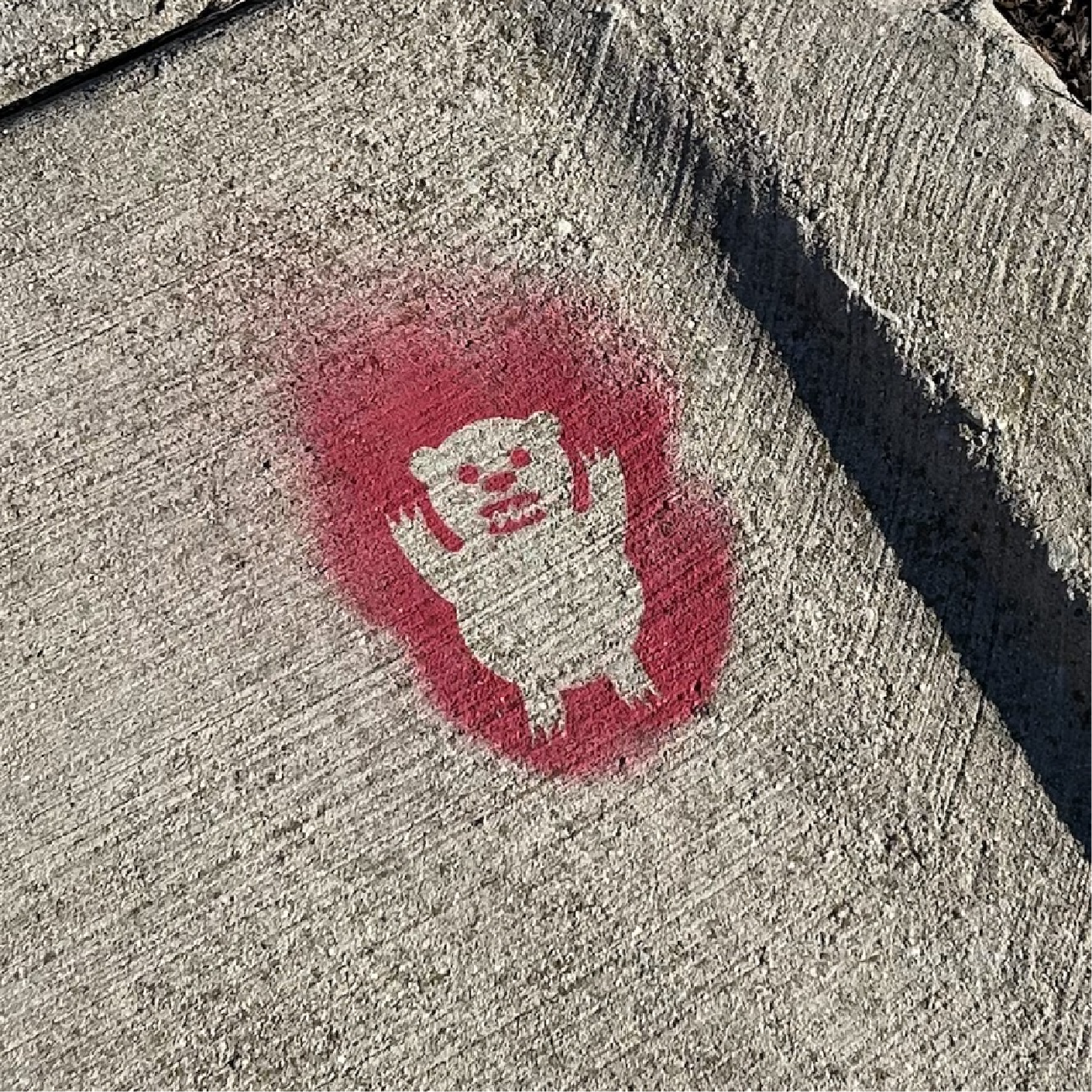 Example new red bear